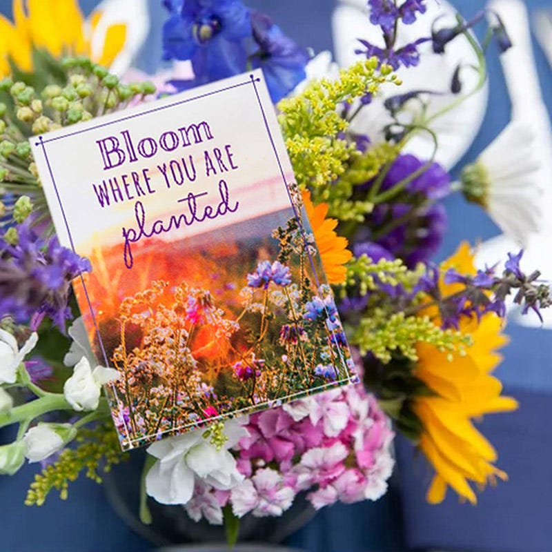 Bloom Where You Are Planted Seed Packet - Image 2