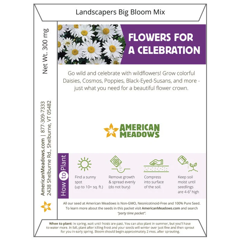 Party Time Seed Packet - Image 2