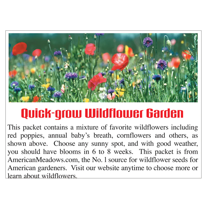 Grow With Us Seed Packet - Image 2
