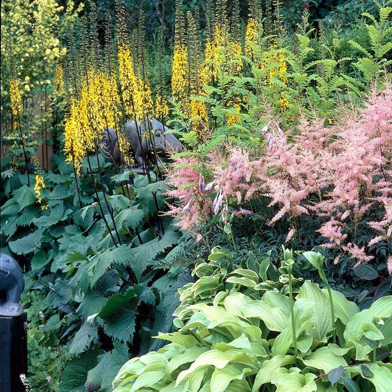 Shade Loving Pre-Planned Garden - Image 3
